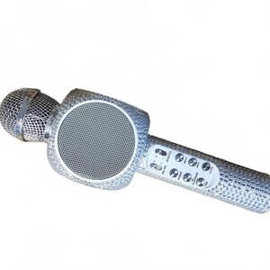 Wireless Karaoke Microphone with Built-in Speaker and Control Panel